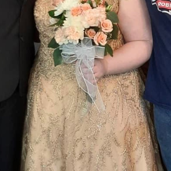 Plus size prom dress - Picture 1 of 6
